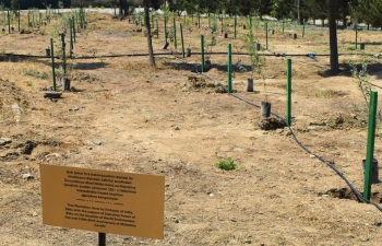 Embassy of India, Baku, in association with the Baku City Executive Power and the Executive Power of Sabail District, organized a Tree Plantation Drive on the occasion of the World Environment Day as part of the ongoing celebrations of the 150th Birth Anniversary of Mahatma Gandhi at the Friendship Park in Baku on 05 June 2019.