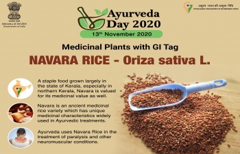 Medicinal plants of Ayurveda with Geographical Indications (GI)